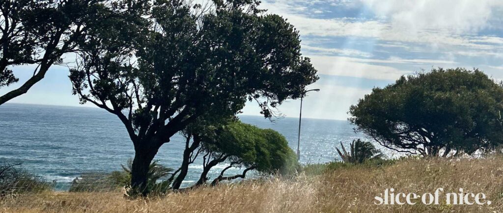 10 Simple Ways to Live More Sustainably in Your Everyday Life