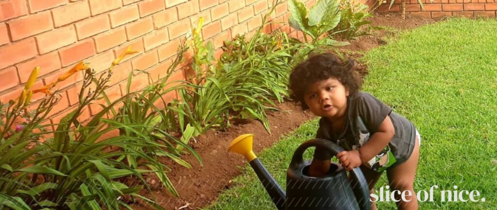 How to Grow Your Own Food: Urban Farming Tips for Small Spaces