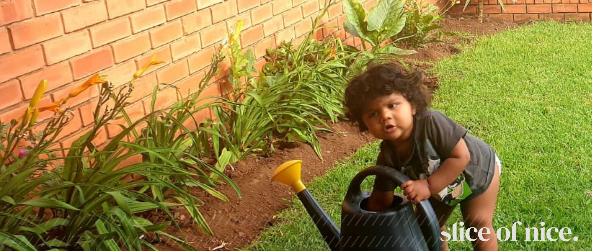 How to Grow Your Own Food: Urban Farming Tips for Small Spaces